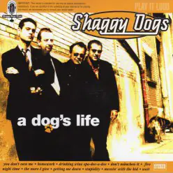 A dog's life - CD