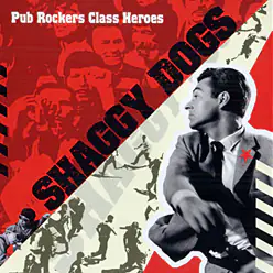 Pub rockers class heroes - CD